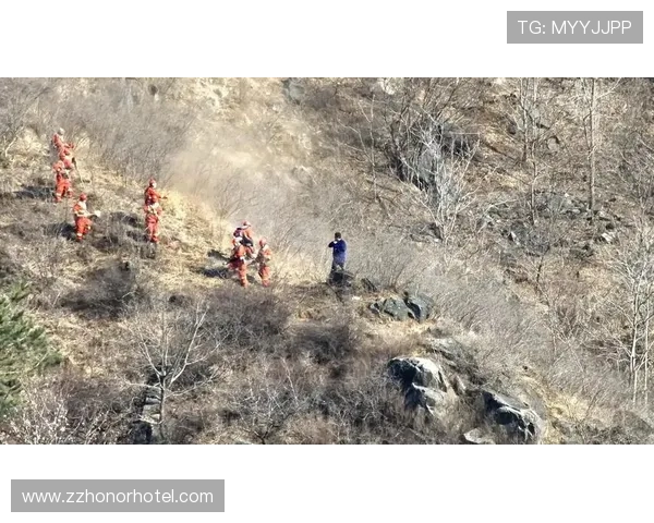 乌加特防线前屏障作用的防守价值解析