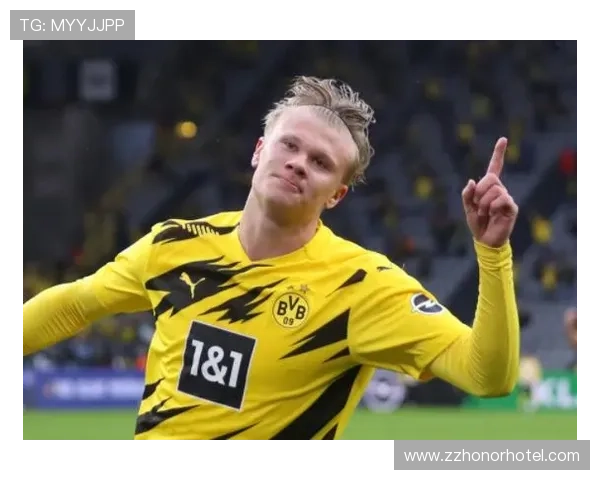 弗拉霍维奇与哈兰德终结能力对比解析